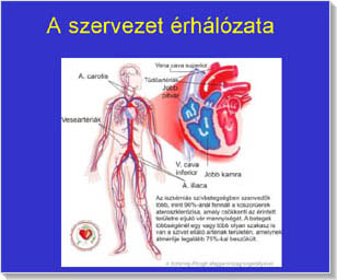 szív- és érrendszeri megbetegedések visszér