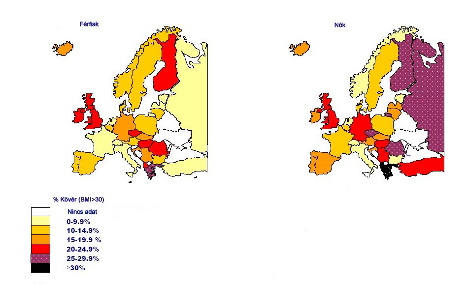elhízottság)