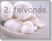 Fokhagyma - mégis védi az ereket?