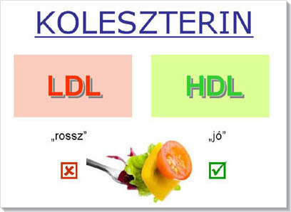 HDL  jó koleszterin