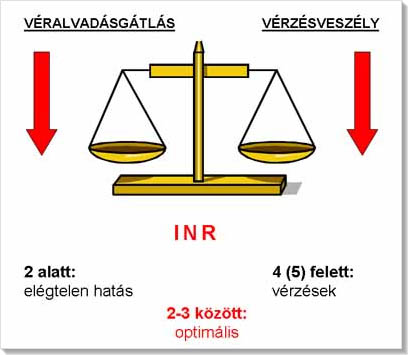 Véralvadásgátló mellett tartandó diéta - Az orvos válaszol