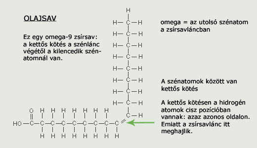 Olajsav - egyszeresen teltetlen zsrsav kmiai szerkezet 