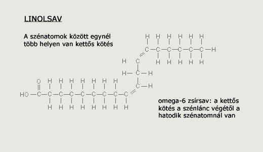 Linolsav - többszörösen telítetlen zsírsav kémiai szerkezete 