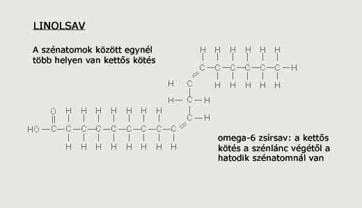 Linolsav - tbbszrsen teltetlen zsrsav kmiai szerkezete 